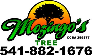 Mozingo's Tree logo