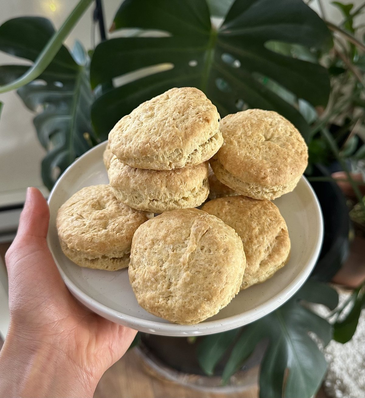 Dairy-free, 7-ingredient biscuits — for breakfast, dinner, or your holiday spread